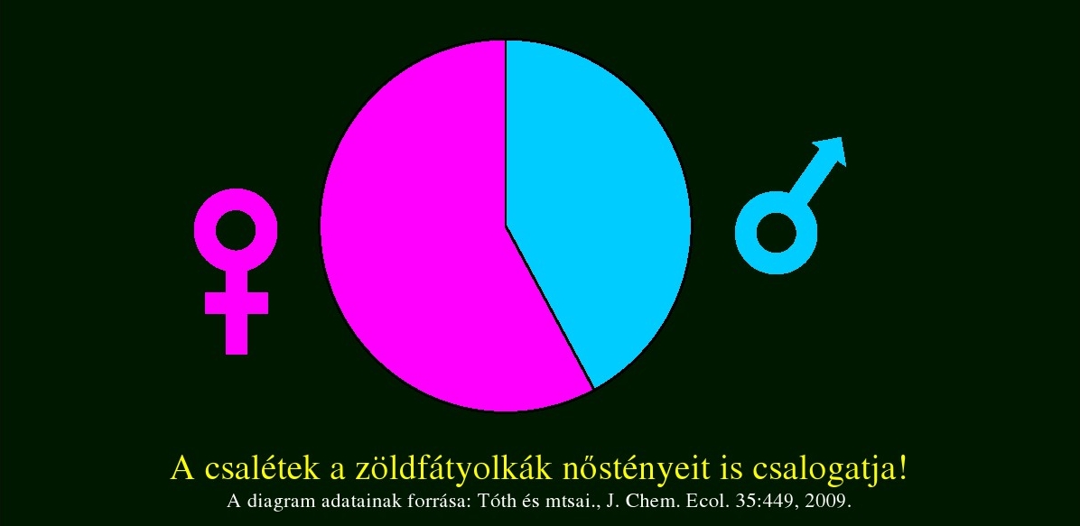 3kep