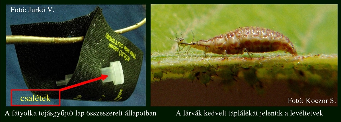 7ujtermek