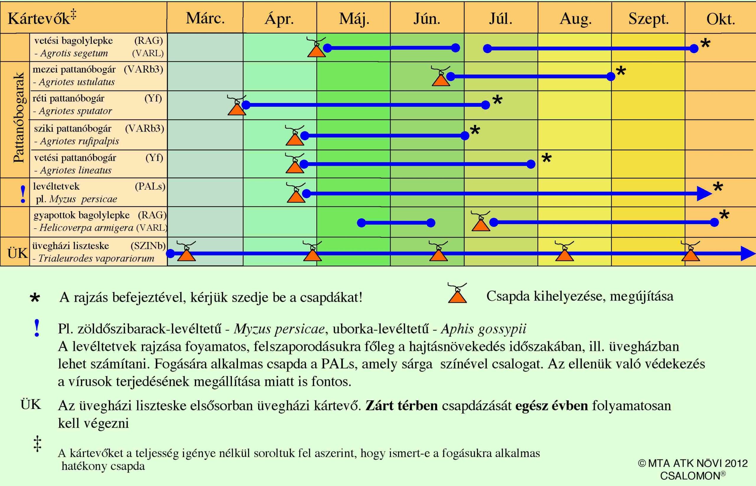 bogyozoldsegekcsapdazasinaptar