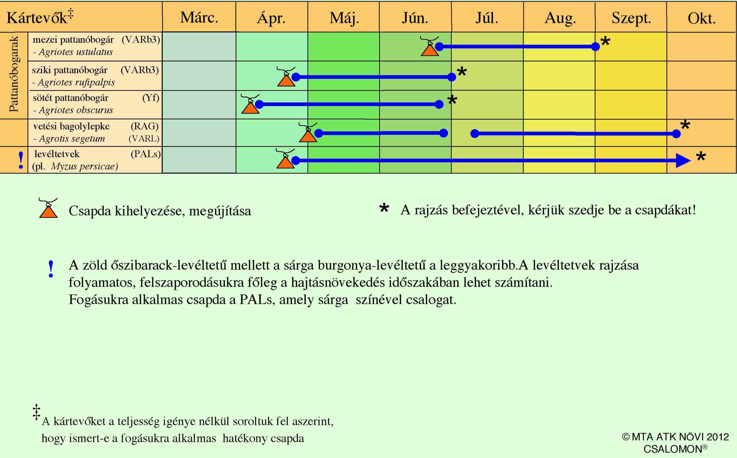 burgonyacsapdazasinaptar
