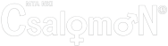 cropped logo cs.png