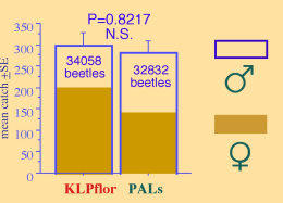 palskplflor